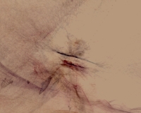 Le_Ton-beau_frame09
