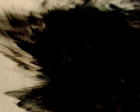 Le_Ton-beau_frame20